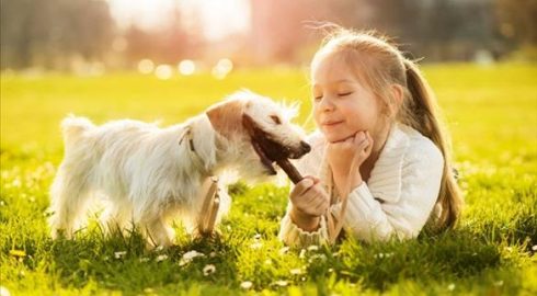 Дети, живущие с домашними животными с рождения, более здоровы