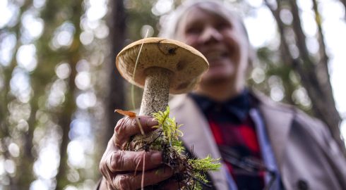 Грибной вопрос: эксперт рассказал, как весной 2024 года безопасно собирать грибы