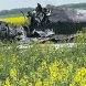В Ставропольском крае упал военный самолёт: почему произошла авария