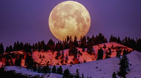 Все о Клубничной Луне: дата и время ее наблюдения в 2024 году