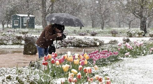 Весна скоро вернется: когда потеплеет в Москве