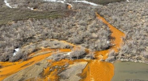Ученые выяснили, почему реки Аляски становятся оранжевыми