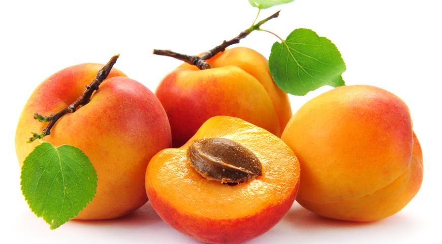 польза абрикосов