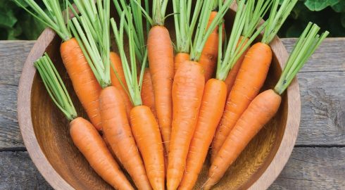 Полейте грядку этим раствором — и морковь пойдет в рост