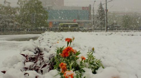Россиян ожидает суровый «подарок» от погоды с 15 июля: в середине лета выпадет снег и вернется настоящая зима