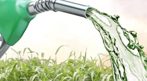 «Пузырь» зеленой энергетики готов лопнуть: как западные компании банкротятся из-за биотоплива