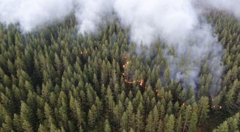 Лесные пожары сохраняют напряженность в Якутии – огонь идет к поселкам