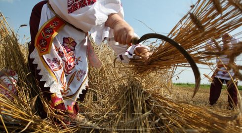 Спожинки 28 августа: праздник завершения жатвы в славянской традиции