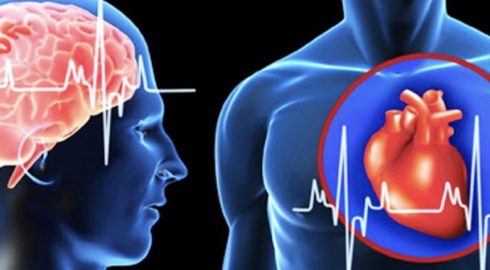 Инфаркт и инсульт – основные отличия и признаки