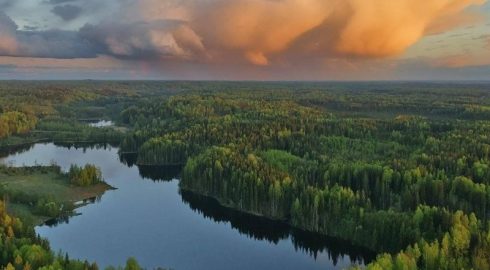 Вместо тайги – равнина: колоссальные изменения из-за климата грядут в России