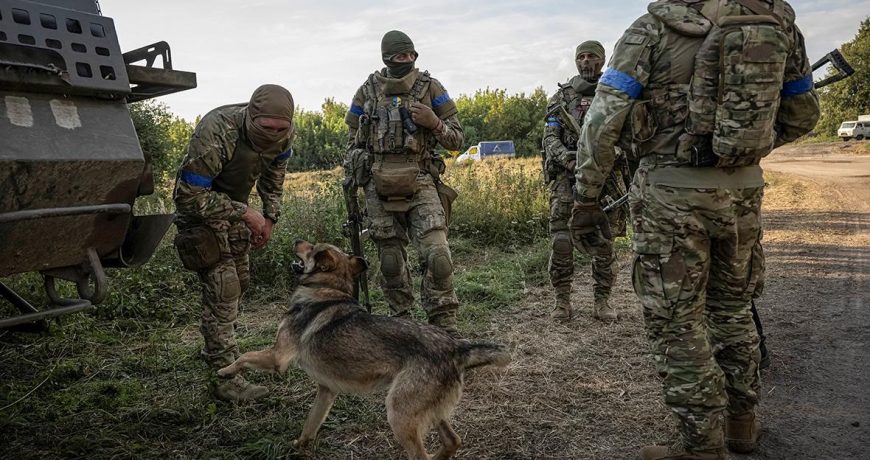 Кракен увяз в болоте