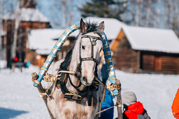 новогодние каникулы