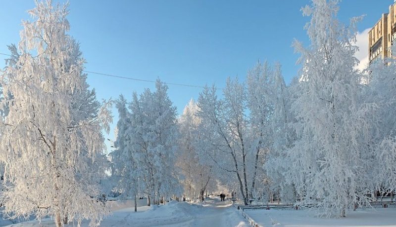 погода в декабре