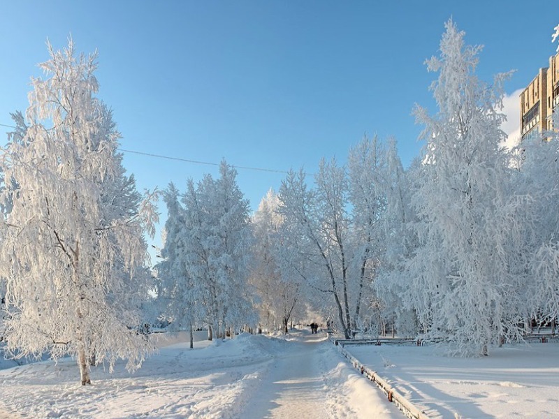 погода в декабре