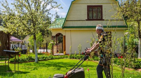 Как дачнику сделать дорожку без бетона и выгнать мышей из погреба: лайфаки, упрощающие жизнь