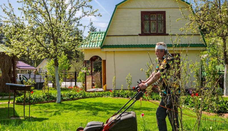 обустройство дачи