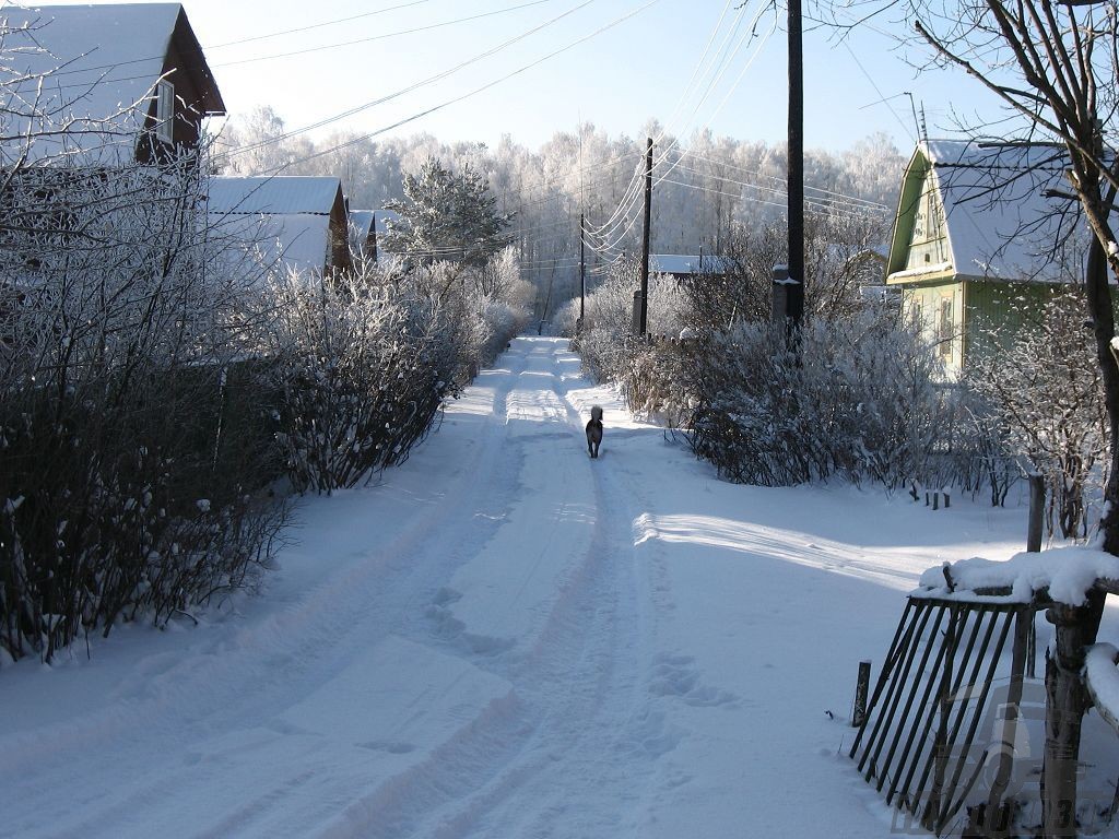 частный сектор