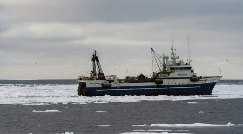 Рыбная промышленность Дальнего Востока перед новыми вызовами