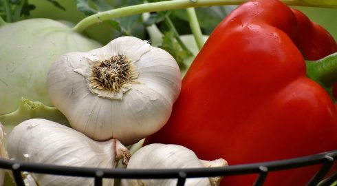 Природные антибиотики на нашей кухне: четыре продукта, которые помогают телу бороться с вирусами