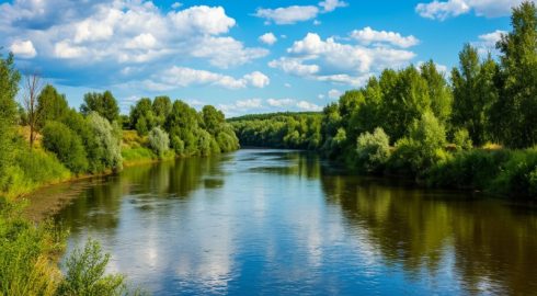 Соленая вода в кранах: осолонение реки Дон из-за Азовского моря, воды которого добрались до городских водозаборов