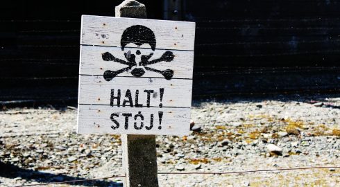 Как нацисты искали Атлантиду и доказательства «арийского превосходства», но нашли только позор: история «Аненербе» — самой мистической организации Третьего рейха