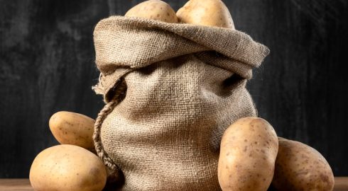 Как вырастить элитный картофель дома – рекомендации российских ученых