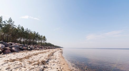 Где можно отдохнуть в 2025 году: доступные места против акул, медуз и закрытых пляжей