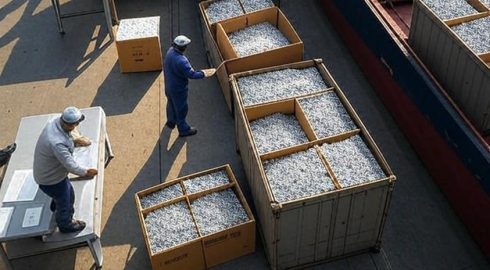 Поставки алмазов из России в 2024 году сократились – стоимость экспорта также упала