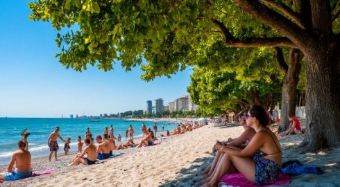 На пляже в Сочи стали продавать места в тени: заплатить придется не только за навесы, но и за полоску тени от дерева