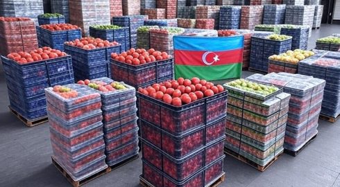 Важные рынки России – Азербайджан критически зависим от продаж томатов, пластика и фруктов