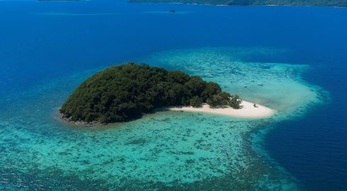 Создано Sensay Island — первый в мире островное «государство», полностью управляемое ИИ
