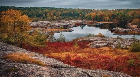 Карельский «квест»: как туристов с детьми бросили на острове без вещей и связи