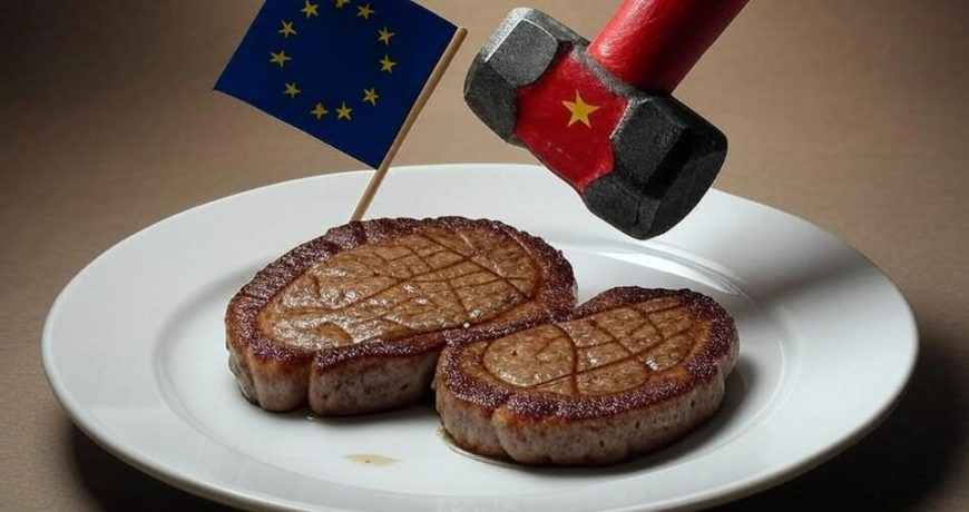Удар Китая по Евросоюзу