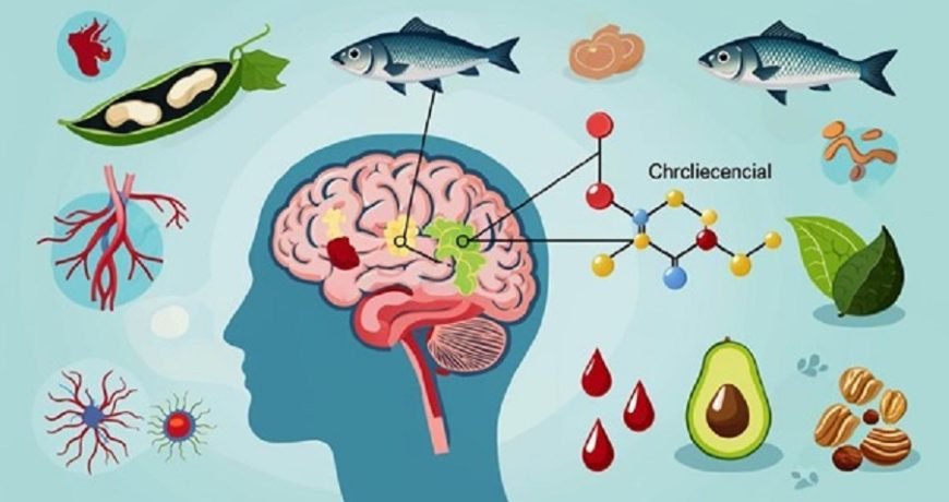 Холестерин и деменция