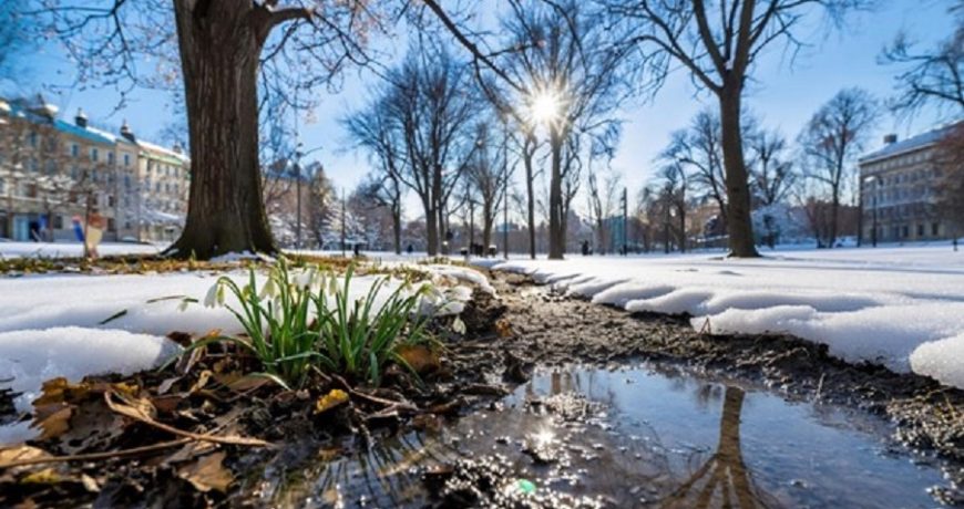 Погодный сюрприз-2026