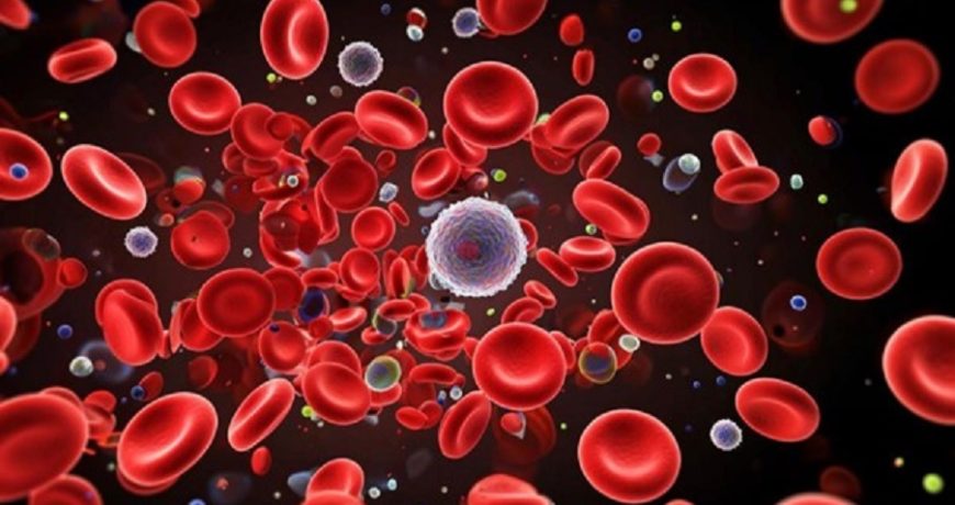 Исследование клеток крови