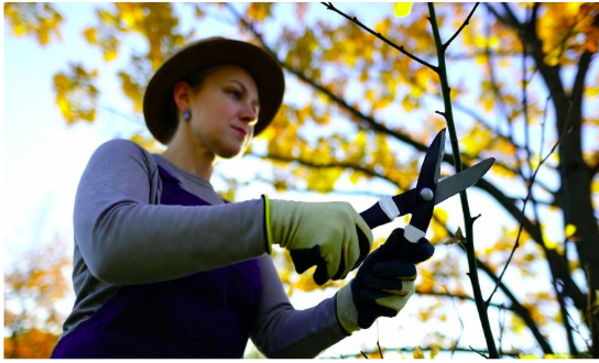 обрезка сада